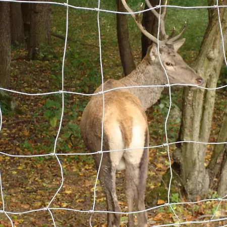 Prázdninový dům One-bedroom Harlingerode