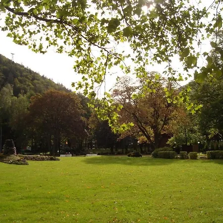 One-bedroom * Harlingerode